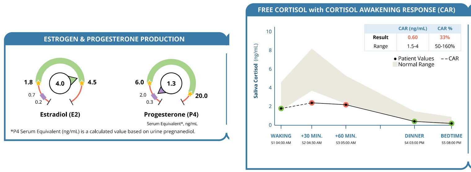 Sample DUTCH Plus report: oestradiol and progesterone gauges, and the daily free cortisol curve