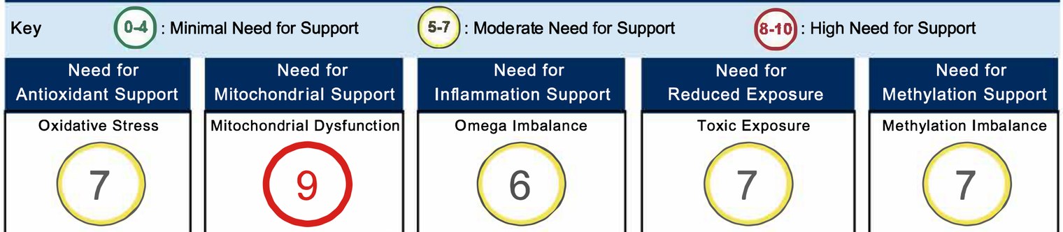 Sample NutrEval report: need-for-support scores across five areas