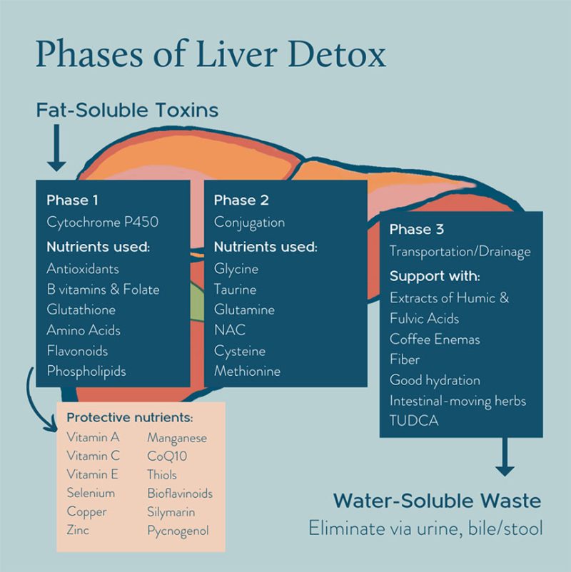 How To Detox Your Liver: 3 Functional Medicine Strategies