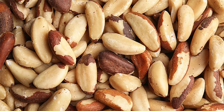 Magnesium-Rich Foods for Mitochondrial Energy Magnesium-rich nuts that support mitochondrial energy production and cellular metabolism