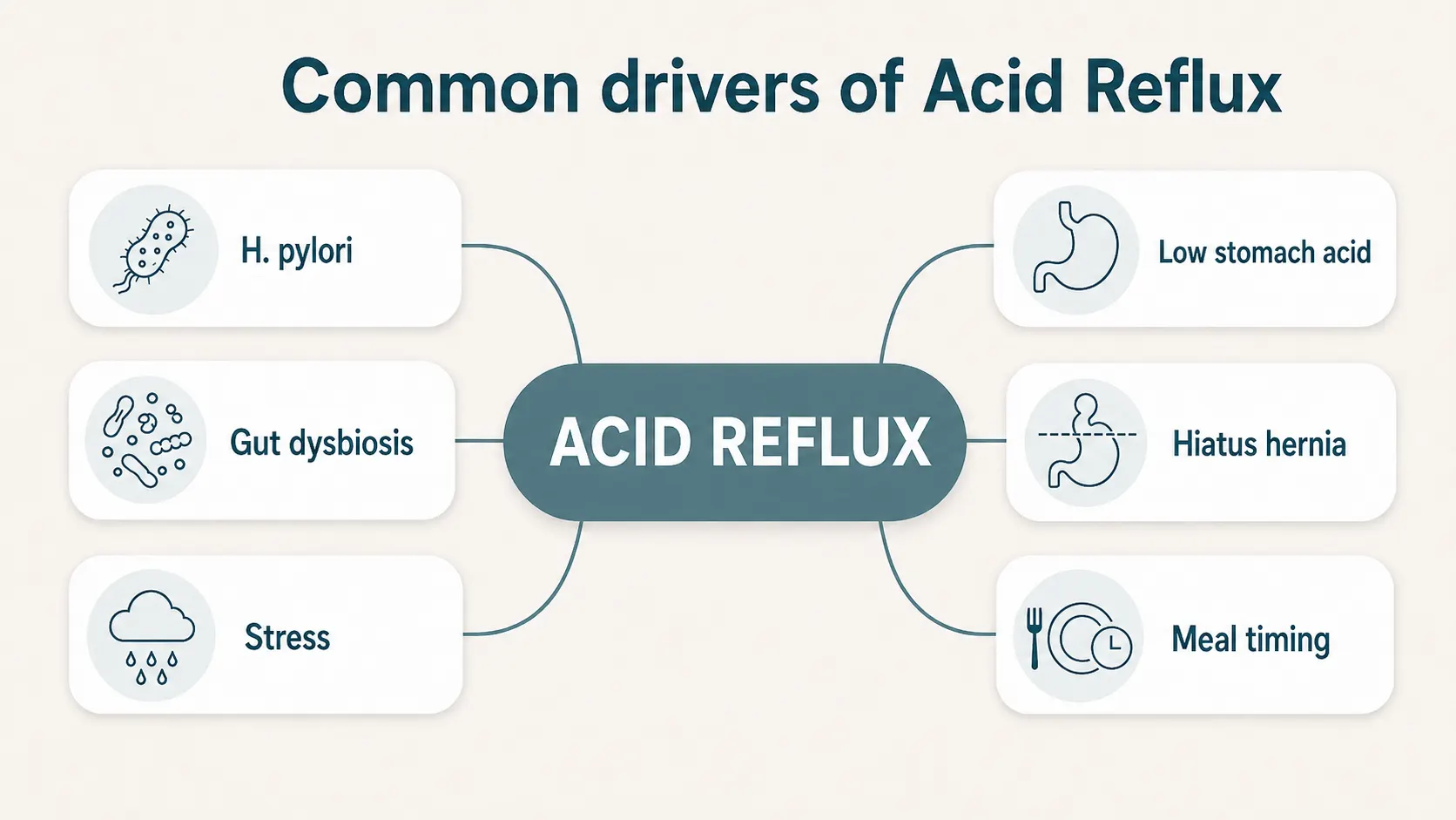 Diagram of the root causes of acid reflux: H. pylori, low stomach acid, hiatus hernia, gut dysbiosis, stress and meal timing.