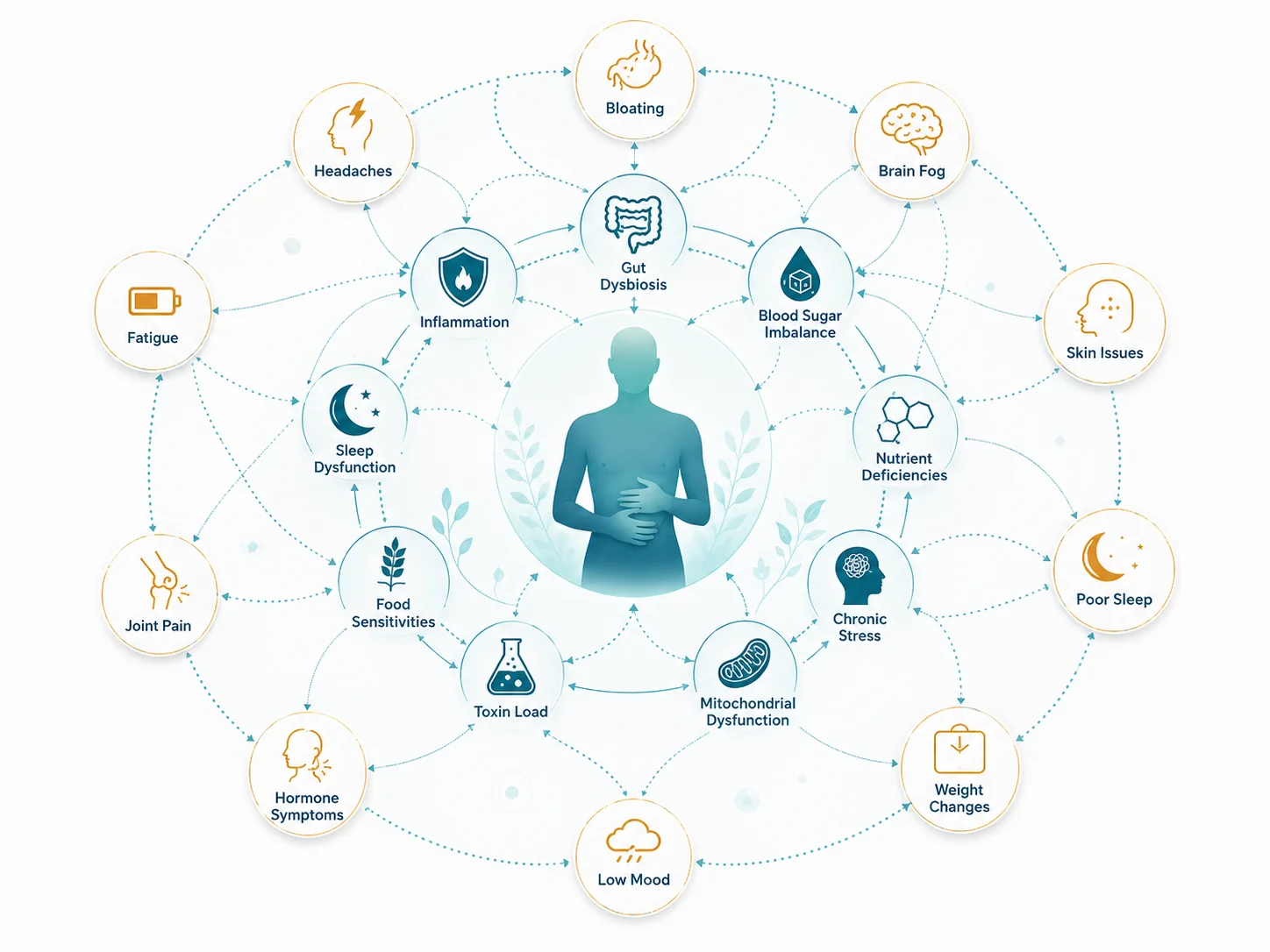 Diagram showing how root causes like gut dysbiosis, inflammation and nutrient deficiencies connect to symptoms including fatigue, brain fog and joint pain