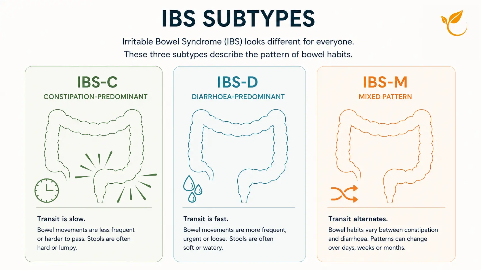 IBS subtypes compared: IBS-C (constipation-predominant, slow transit), IBS-D (diarrhoea-predominant, fast transit) and IBS-M (mixed, alternating bowel habits).
